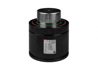 CW 20000 - Gas spring